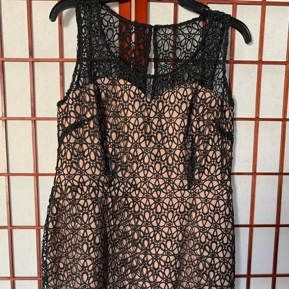 Ann Taylor by Loft Satin Eyelet Dress